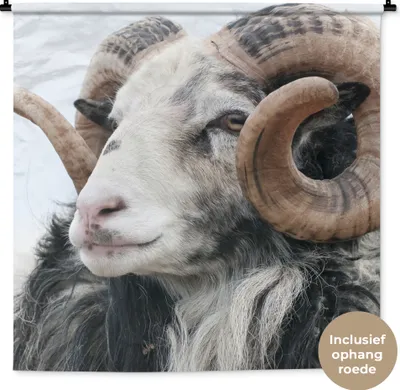 Produktbild von MuchoWow® Wandteppich Wandbehang Schafe - Horn - Tiere 120x120 cm Tapisserie Dekoration Wandtuch - Modern - Baumwollgewebe