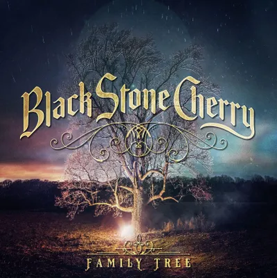 Obrázek produktu pro ImportCDs Family Tree, Pop rock, CD, Fyzické médium, Dospělý, 1 disky, 19/04/2018