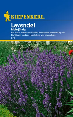 Produktbild von Lavendel (mehrjährig), vertreibt Ameisen und Läuse, für ca. 100 Pflanzen, Kiepenkerl