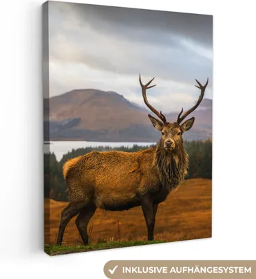 Produktbild von MuchoWow® - Leinwandbilder - Hirsche - Berge - Wasser - Landschaft - Tiere - Bäume, Wandbild, Wanddeko Bilder Wohnzimmer, 90x120cm