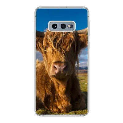 Produktbild von MuchoWow® Handyhülle Schutzhülle Hülle für Samsung Galaxy S10e Schottische Highlander - Tiere - Gras Silikon Softcase Handy Hülle - Handy