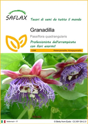 Immagine prodotto di SAFLAX  - Granadilla - 12 semi - Passiflora