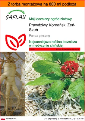 Zdjęcie produktu dla SAFLAX - Garden in the bag - Prawdziwy Koreański Żeń-Szeń - 10 Nasiona - Z podłożem uprawowym w praktycznej, samorozkładającej się torbie - Panax ginseng
