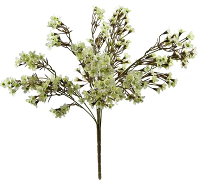 Productafbeelding van Kunstbloem, kunststof, Viridis, Viridis, 55 cm, wit, 1 stuk