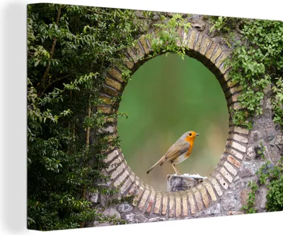 Obrázok produktu pre OneMillionCanvasses® - Maľba na plátne - Obraz na plátne Nástenná maľba na plátne - Vták - Priehľad - Robin - 150x100cm - Fotografia na plátne - maľba
