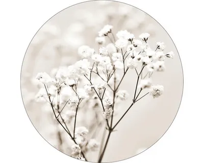 Produktbild von Glasbild Meadow flowers I Ø 20 cm