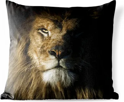 Produktbild von MuchoWow® Outdoor Kissen - Löwe - Tier - Schwarz - 40x40 cm - Wetterfest - Lounge Kissen - Kopfkissen - Interieur - Polster mit Bild