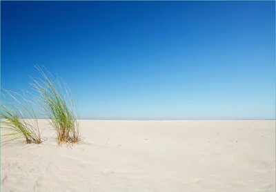 Produktbild von Wallario Fototapete Vliestapete, seidenmatte Oberfläche, einfache Verarbeitung, Größe 350 x 245 cm, Motiv Sandstrand unter blauem Himmel