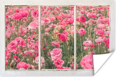 Produktbild von MuchoWow® Poster Durchsichtig - Blumen - Rosa 90x60 cm - Schlafzimmer