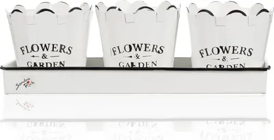 Produktbild von FLOWERS & GARDEN Set aus 3 Übertöpfen und einer Schale aus Metall