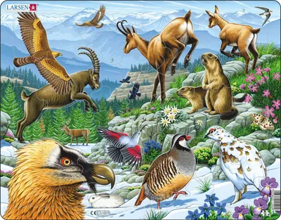 Produktbild von Larsen Maxi LA-FH12, 55 Stück(e), Flora & Fauna, 6 Jahr(e)