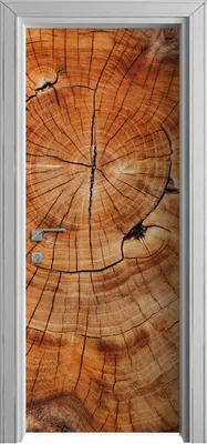 Produktbild von Tür Selbstklebende 80x210 cm Türfolie Türtapete Klebefolie - Holz Stamm