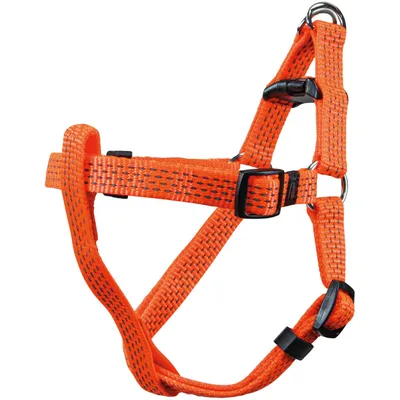 Obrázok produktu pre Karlie ASP Reflex Reflex Geschirr - Oranžová - 65 - 95 cm