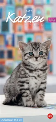 Produktbild von Whiskas Katzenleben Kalender 2027