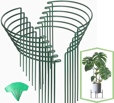 Produktbild von Pflanzstützen und Rankhilfen für Gartenpflanzen