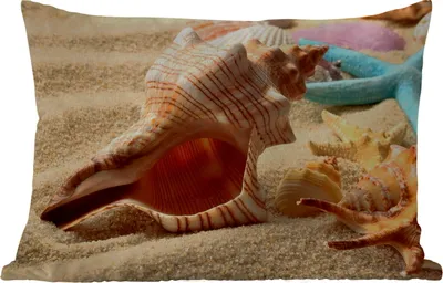 Produktbild von MuchoWow® Outdoor Kissen - Seesterne - Muscheln - Sand - Strand - 60x40 cm - Wetterfest - Lounge Kissen - Zierkissen - Kissen für Innenräume
