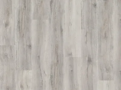 Produktbild von BASICfloor | 2,635 m² | Grau 22 31 Vinylboden Landhausdiele Eiche Capri, SPC Rigid Klickboden, Klick 2G System, Trittschalldämmung, UV Beständig, für Fußbodenheizung, Nutzungsklasse