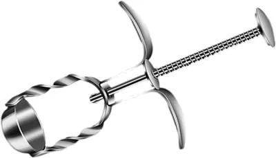 Produktbild von Manueller Edelstahl-Entkerner für Jujuben und Kirschen, silberfarben, leicht und einfach zu bedienen, kompakt für unterwegs und für Obstkerne geeignet