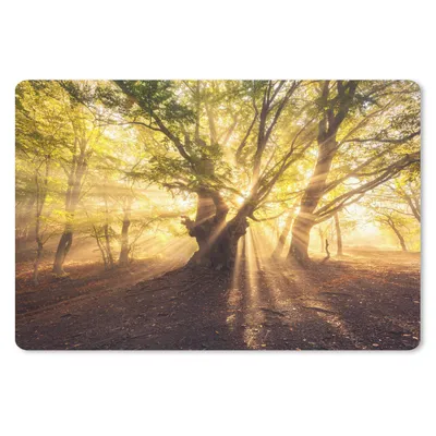 Produktbild von MuchoWow® Mauspad Mousepad Baum - Wald - Sonne 27x18 cm - Mousepads - Maus Mat - Pad - Mausunterlage - Büroartikel - Desk Matten