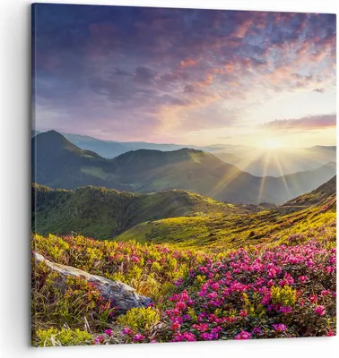 Produktbild von Bild auf Leinwand - Leinwandbild - Gebirge Wiese Landschaft Wald - 50x50cm - Wand Bild - Wanddeko - Leinwanddruck - Bilder - Kunstdruck - Wanddekoration - Leinwand bilder - Wandkunst - AC50x50-3152