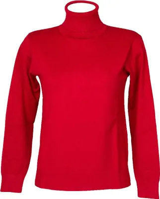Immagine prodotto di Maglia donna RAGNO collo roulè ciclista manica lunga regular fit fin.12 four seasons winter basic articolo DI44TK, 3 - TERZA, Viscosa 70%,Poliammide 30%