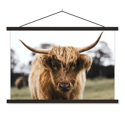 Produktbild von MuchoWow® Textilposter Schottischer Highlander - Kuh - Gras - Tiere - Natur 150x100 cm mit schwarzem Rahmen - Schlafzimmer