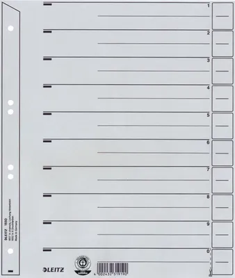 Image de LEITZ Intercalaire, A4 grande largeur, carton kraft 200g/qm, gris