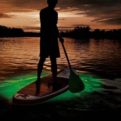 Produktbild von MAXXMEE LED-Leuchte Unterwasser 360° 4,5V schwarz