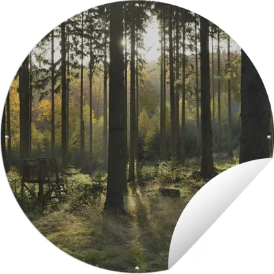 Produktbild von MuchoWow® Gartenposter Outdoor-Poster Rund Wald - Sommer - Sonne Ø 120 cm Gartendeko Rundes Poster draußen