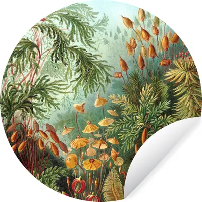 Produktbild von MuchoWow® - Wandbild - Fototapete - Selbstklebend - Dekoration - Wandschmuck - Schlafzimmer
