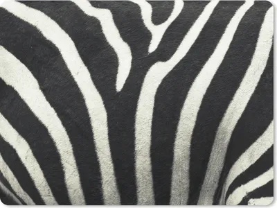 Produktbild von MuchoWow® Mauspad Mousepad Tiermuster - Zebra - Schwarz - Weiß 23x19 cm - Mousepads - Maus Mat - Pad - Mausunterlage - Schreibtischunterlage - Mauspad