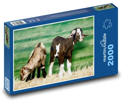 Produktbild von Puzzle 2000 Kleine Ziegen auf dem Bauernhof - martinpuzzle