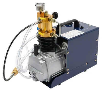Immagine prodotto di Compressore d'aria PCP, prestazioni efficienti, design compatto, colore blu