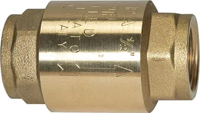 Produktbild von Riegler Rückschlagventil, voller Durchgang, MS, G 2 1/2, 0,01 - 0,03 bar