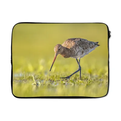 Produktbild von MuchoWow® Laptop Hülle 15 Zoll Vögel - Gras - Landschaft - Uferschnepfe Laptoptasche - Laptoptasche - Sleeve - Rundum-Schutz