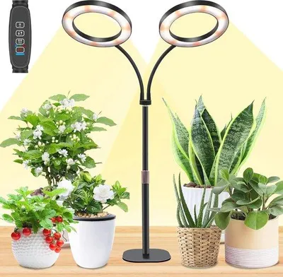 Zdjęcie produktu dla Lampa LED do roślin Famanu, regulowana na wysokość, z automatyczną funkcją timera - zakres regulacji: 24-60 cm