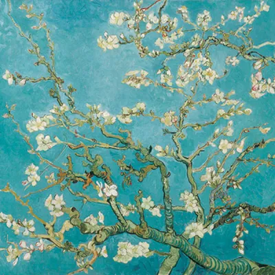 Image de Serviettes 33x33 cm - Almond blossom
