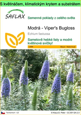 Obrázek produktu pro SAFLAX Garden to go - Modrá - Viper's Bugloss - Echium fastuosa - 100 Semena - S květináčem, klimatickou poklicí a pěstebním substrátem