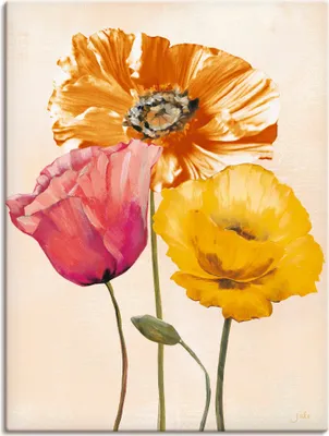 Produktbild von ARTland Leinwandbild Bunte Mohnblumen II Größe: 60x80 cm