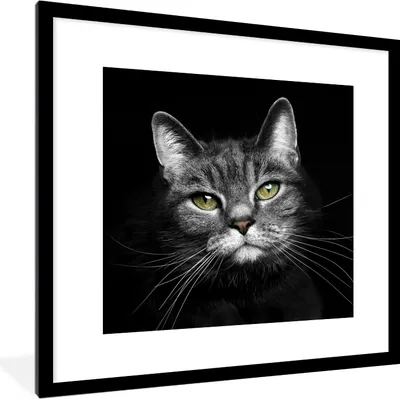 Produktbild von MuchoWow® Gerahmtes Poster Haustiere - Katze - Tiere - Schwarz - Weiß 40x40 cm - Poster mit Schwarzem Bilderrahmen Wandposter Rahmen Foto Bilder - Poster - Plakat im Rahmen