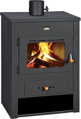 A black wood-burning stove with a glass door showing a fire inside.