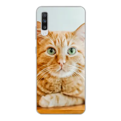 Produktbild von MuchoWow® Handyhülle Schutzhülle Hülle für Samsung Galaxy A70 Katze - Holz - Schrank Silikon Softcase Handy Hülle - Schutzhaube