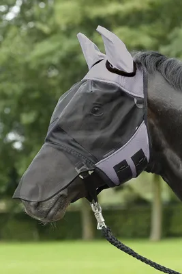 Produktbild von Busse Fliegenmaske FLY COVER PRO, Busse_17_Groessen:Warmblut