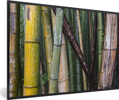 Produktbild von MuchoWow® MuchoWow® Gerahmtes Poster Viele Bambusarten im Arashiyama-Bambuswald in Japan 60x40 cm - Poster mit zchwarzem Bilderrahmen - Printing - Wanddeko Schlafzimmer