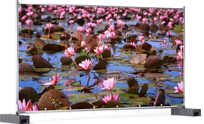 Produktbild von Wallario XXL Outdoor-Poster für Garten oder Balkon, Motiv Seerosenlandschaft mit rosa Blüten, in ca. 340 x 173 cm