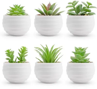 Image de Lot de 6 petites plantes artificielles pour la décoration de la chambre à coucher