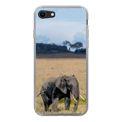 Produktbild von MuchoWow® Handyhülle Schutzhülle Hülle für iPhone SE 2020 Elefant - Gras - Tiere - Natur Silikon Softcase Handy Hülle - Kartenbesitzer