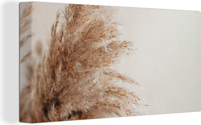 Produktbild von MuchoWow® - Leinwandbilder - Gras - Pflanzen - Natur - Pampasgras, Wandbild, Wanddeko Bilder Wohnzimmer, 80x40 cm