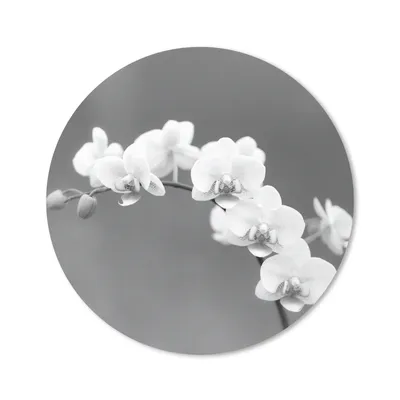 Produktbild von MuchoWow® Mauspad Mousepad Orchidee - Blumen - Pflanze - Weiß - Lila 50x50 cm - Mousepads - Maus Mat - Pad - Mausunterlage - Vinyl