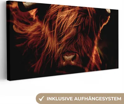 Produktbild von MuchoWow® - Leinwandbilder - Schottischer Highlander - Kuh - Hörner - Porträt - Tiere, Wandbild, Wanddeko Bilder Wohnzimmer, 80x40 cm